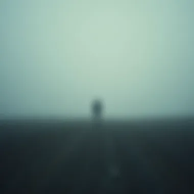 Symbol of Isolation A solitary figure in a vast landscape, symbolizing isolation and deep loneliness.
